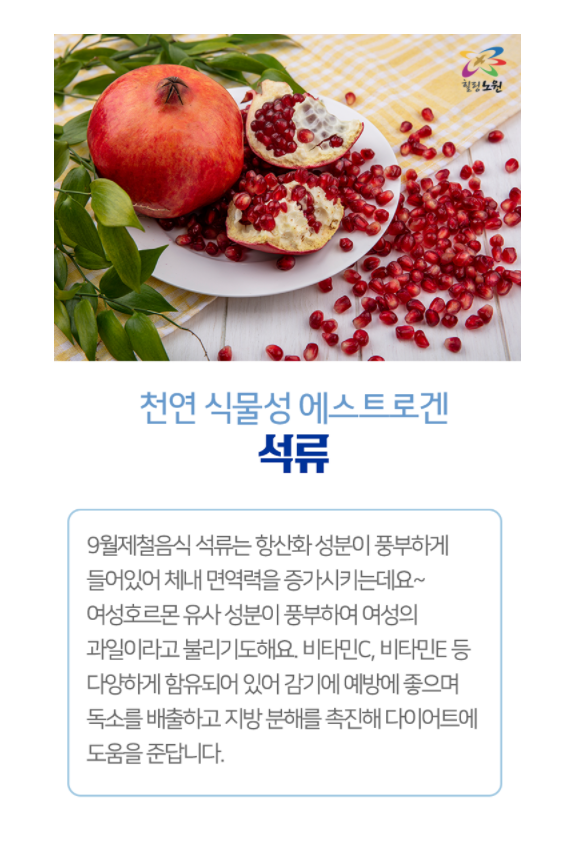 9월 제철음식 (6).png